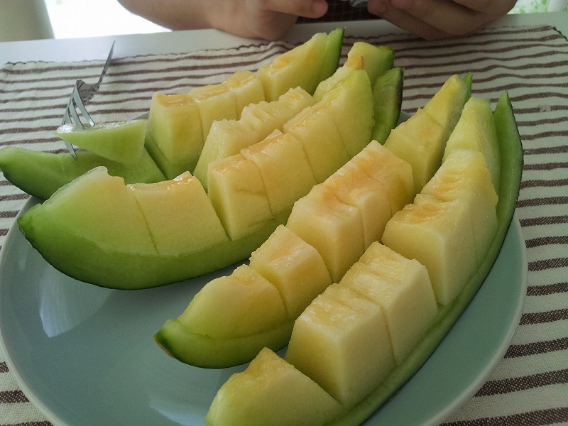 JAPAN SPEC Melon 海外引きこもりブログ（ピサヌロークに居座る）