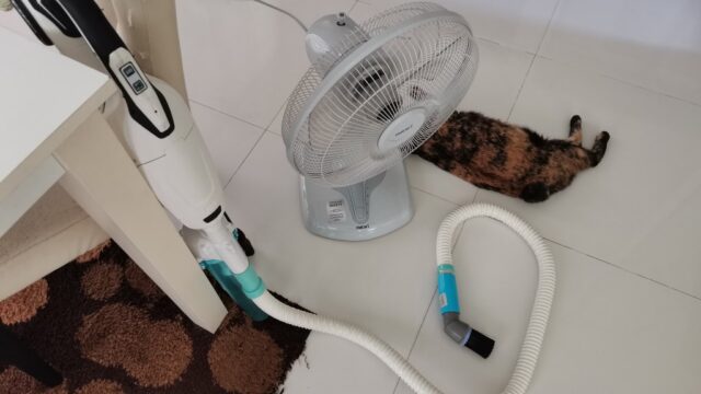 充電式掃除機で猫掃除