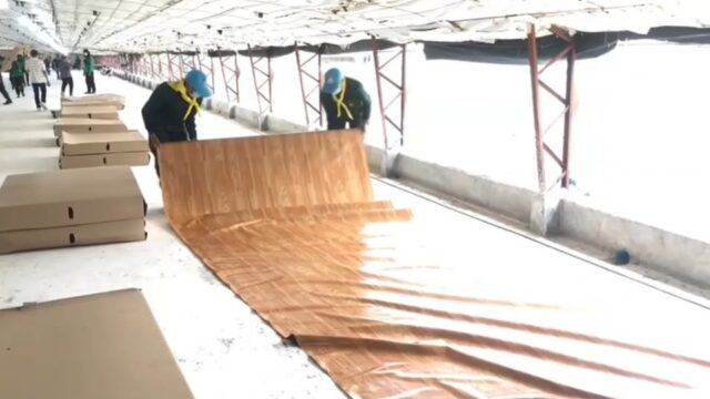 サラブリ県の野戦病院準備